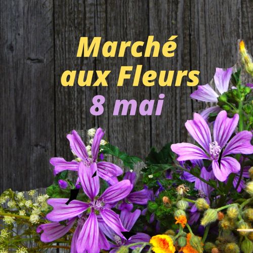 Le 20ème marché aux fleurs de Saint-Amans Soult !