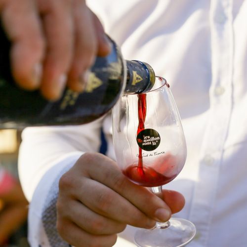 Vins en Ville : les vignerons envahissent les rues de Perpignan ce samedi 22 octobre