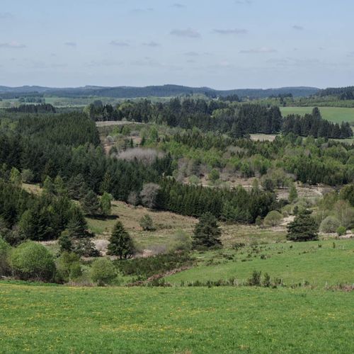 Le plateau de Millevaches