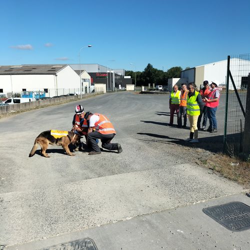 Journal du lundi 11 juillet (midi)