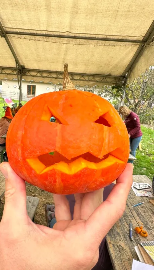 Courges, rires et déguisements au Parc de Wesserling