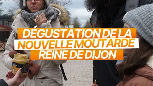 Dégustation De La Nouvelle Moutarde Reine De Dijon