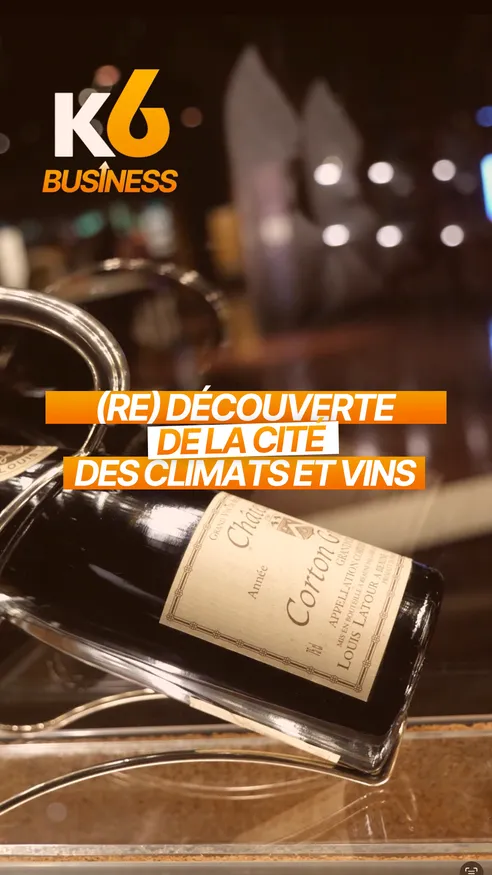 (Re) Découvrez la cité des climats et vins de Bourgogne 🍷