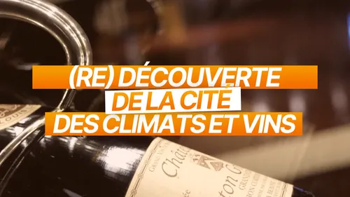 (Re) Découvrez la cité des climats et vins de Bourgogne 🍷