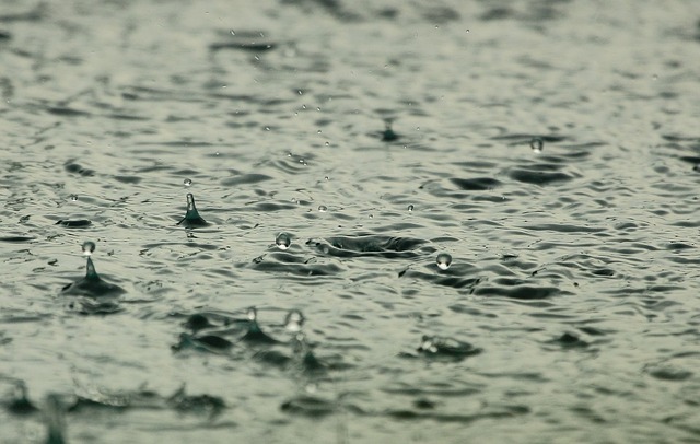 A gloomy and cool climate and sometimes heavy rains between the Hérault and the Gard