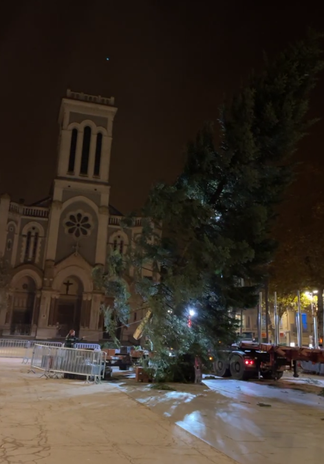 VIDEO : Le sapin de Noël installé à Saint-Etienne
